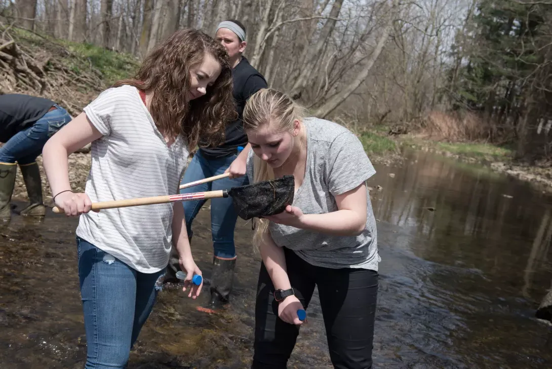 Students at the Canfield preserve doing stream clean up